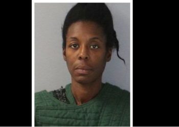 6개월 손녀 머리에 총 쏜 할머니 “일부러 그랬다”