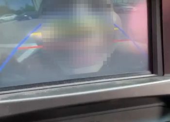 후방카메라 챌린지가 뭐길래…벌써 20명 사망