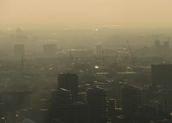 뇌속 침투 ‘극초미세먼지’…”정신질환 초래”