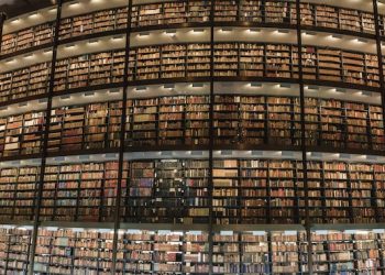 [교육] 80%가 A학점?…아이비리그 ‘학점 인플레’ 학생들 불안