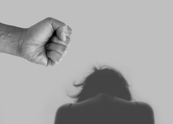 (1보)50대 한인 변호사 고양이 장난감으로 아내 살해..한국서 체포