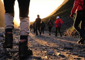 하루 4000보만 걸어도 뇌가 변한다…’이 부분’ 기능강화