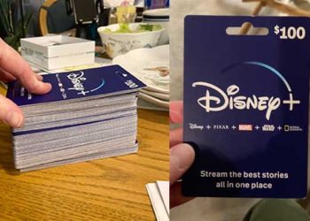 [화제] ‘디즈니랜드 아니었어?” 1만달러 선물 실수로 지른 할머니