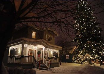 [소비자] “크리스마스 장식 전기요금 따져보세요”