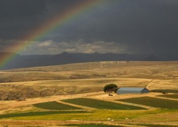 [화제] 1달러에 산 땅…120억 달러 헬륨 대박