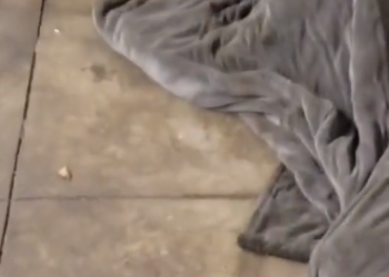 뉴욕지하철 노숙자 담요 들추자 쥐떼 “충격영상”