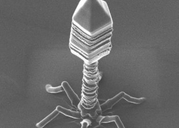 “항생제 내성균 ‘슈퍼버그’ 감염, 인공눈물 위험해”