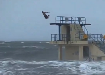 겨울폭풍 속 목숨 건 바다 다이빙 논란(영상)