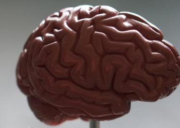 혈액검사로 알츠하이머 조기진단 가능하다