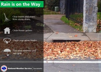 ‘파인애플 익스프레스’ 접근… 2월1일부터 영향, 폭우∙폭설∙강풍