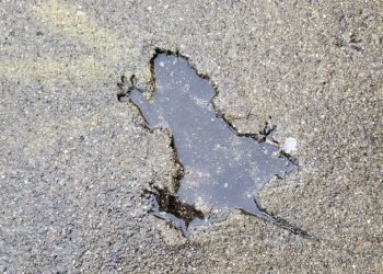 ‘쥐구멍’ 보러 시카고 간다?…’징그럽지만 귀여운’ 관광 명소 탄생