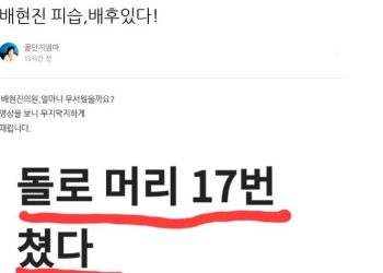 “피습 배후 있다…너무 이상해” 전여옥 의혹 제기