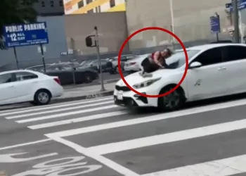 LA 다운타운 개도둑 차량 매달린 여성 화제(영상)