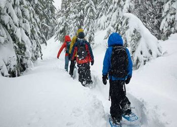 스키장 갔다 영구 시각장애 …겨울 설맹증 주의보