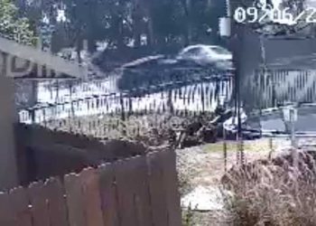 보험금 노리고 뺑소니 조작…LA 자해공갈단 5명 체포(영상)