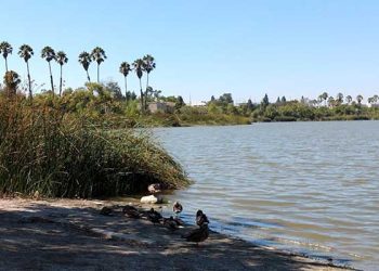 LA 마차도 레이크 신원 미상 시신 발견