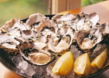“생굴 먹지 마세요”…LA 보건국 굴요리 식중독 위험 경고