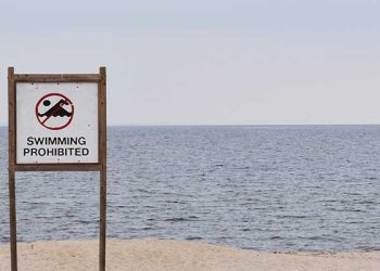 말리부, 산타모니카, 마리나델레이 등 해변 입수금지