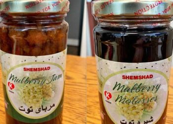 [소비자] 쉠샤드(Shemshad)의 멀버리 잼-멀버리꿀 즉시 폐기해야