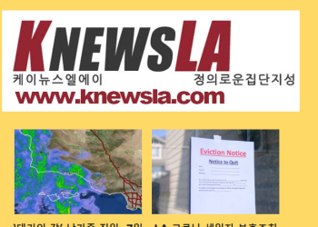 [케이뉴스 전자신문 2024년 2월 1일 목요일]