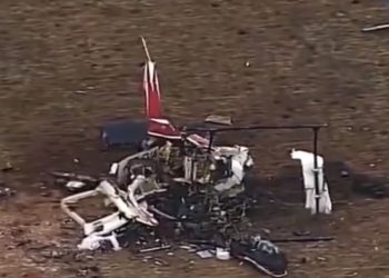 “전원 사망” 구급헬기서 의문의 거위 사체 발견(영상)