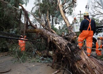 한인타운, 미드윌셔 등 6,600가구 여전히 정전 상태