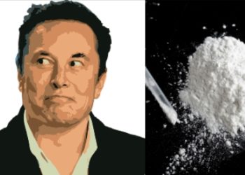 “마약의혹에 망상까지” 테슬라 위기..오너 리스크 커져