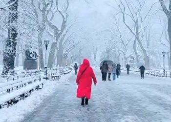 ‘북동부 폭설’ 38cm 눈 쏟아져…정전, 항공편 결항(영상)