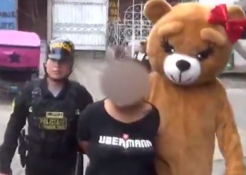 “경찰인 줄 몰랐지” 여성 마약상 곰인형 분장에 깜빡 속아(영상)