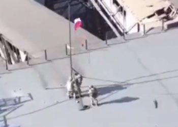 ‘아우디우카 점령’ 러, 포탄부족 우크라군 전면압박(영상)