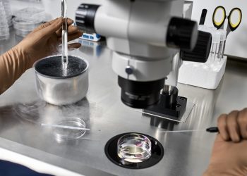 ‘냉동배아도 사람’판결 파장 일파만파 … 인공수정 중단