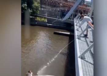 보트 승객 머리로 우유 철철..철 없는 금수저의 최후(영상)