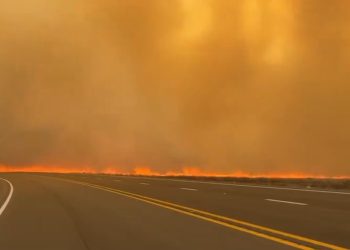 텍사스 산불 급속확산, 60개 카운티 재난선포…핵시설 가동중단(영상)