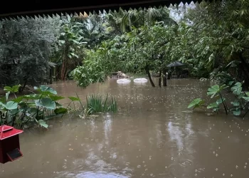 주택 침수피해 주민들 “배수관 방치 LA시 책임져야”