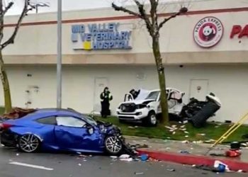 빗길 교통사고 차량 판다 익스프레스 돌진