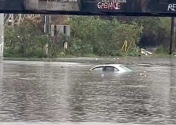 오전 폭우에 곳곳 도로 범람, 침수 피해