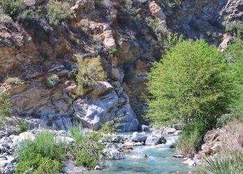 마운틴 볼디서 50대 여성 급류에 휩쓸려 실종