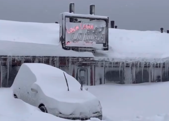 3미터 폭설에 터널 뚫고 출근…빌딩 3층까지 파묻혀(영상)