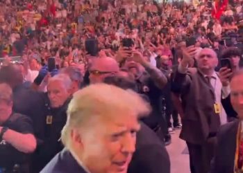 대통령감 없는 이상한 선거…유권자들 “트럼프도, 바이든도 아니야”..12일 후보확정(영상)