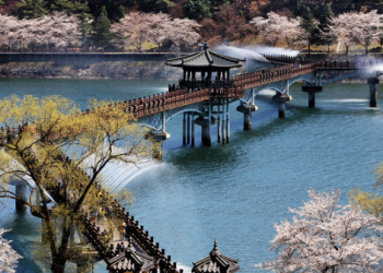 [지금 한국 가면] 월영교서 봄을 즐긴다.