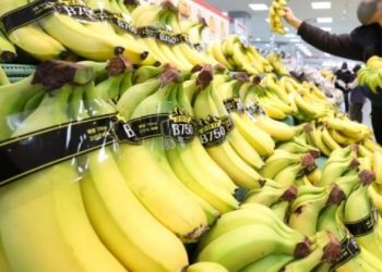 과일 값 금값인데…바나나 가격이 또 오른다?