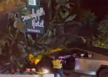 사이버트럭 베벌리힐스 사고는 운전부주의때문