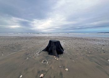 하루 종일 오르고, 이틀을 내려오는 고독한 트랙