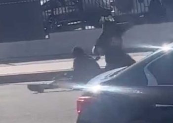 채스워스 고교 인근서 총격 사건 발생.. 용의자 체포