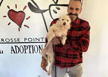 [화제] 잃어버린 반려견, 2천마일 떨어진 곳서 극적 재회