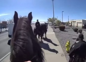 서부극 보는 줄…미 경찰, 말 타고 도둑 쫒아가(영상)