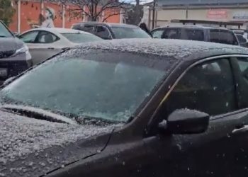 4월에 우박 쏟아진 한인타운…이번주 따뜻한 봄날씨 예상(영상)