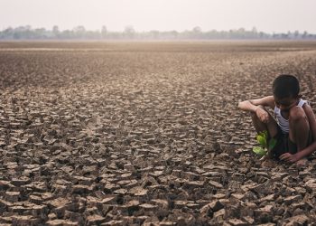 지구 열기 식을까…엘니뇨 5월 끝나고 라니냐 온다