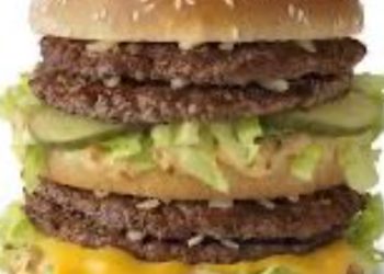 1년 지나도 썩지 않는 맥도날드 빅맥…방부제 논란