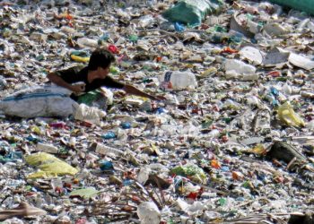 전 세계 플라스틱 쓰레기 11% 코카콜라 제품